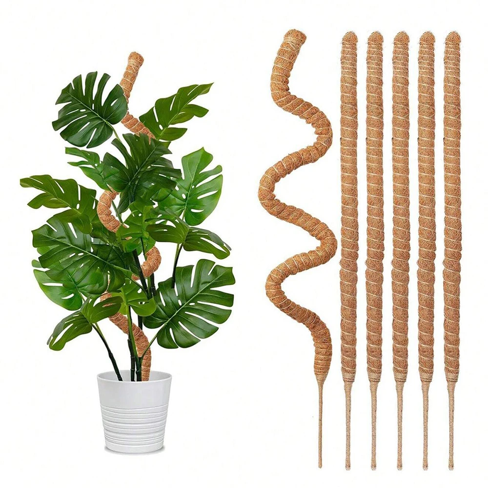 Monstera Plant Moss Pole Suppo - Plant Support Stake 评论和价格