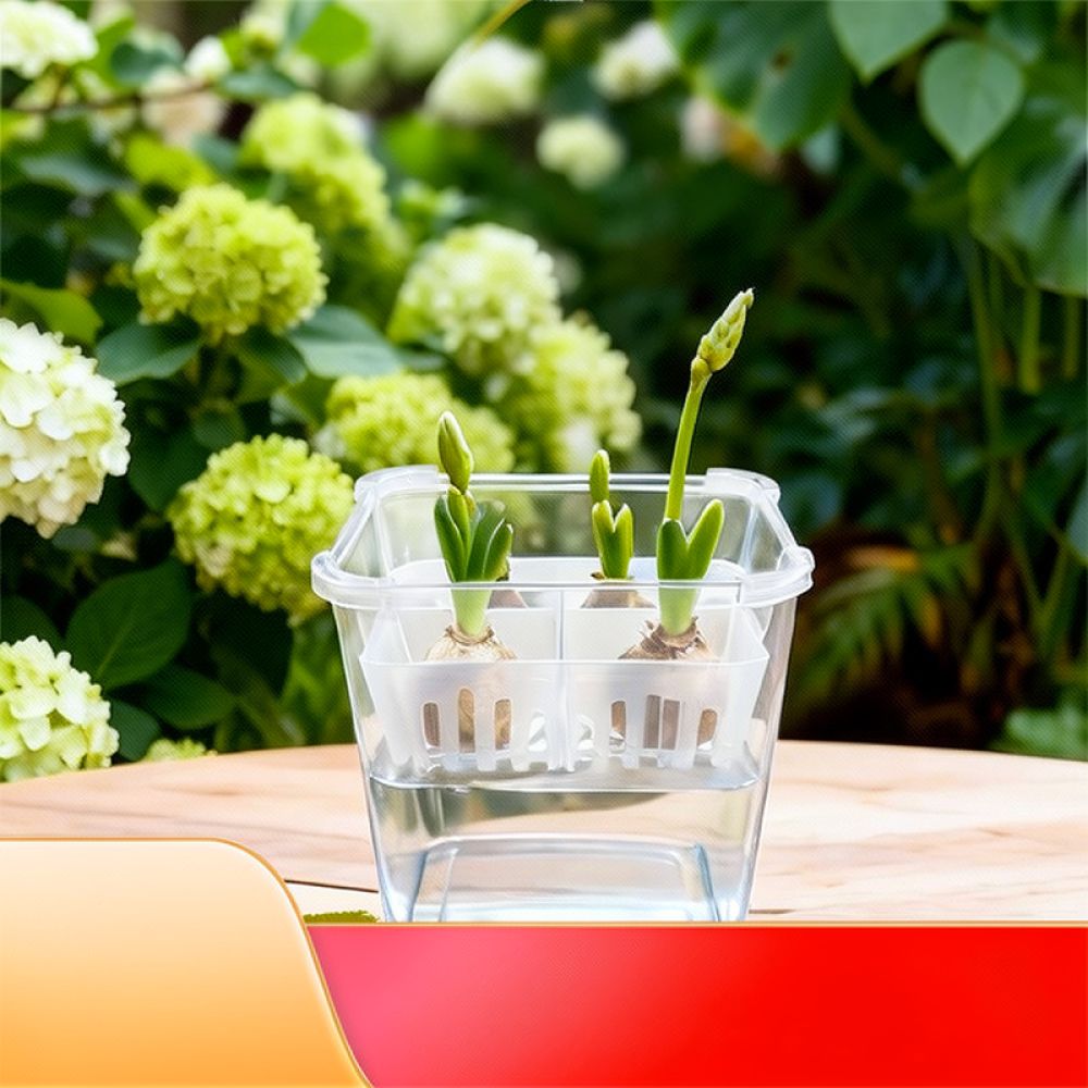 Hydroponic Vase For Tulip Lily - Plant Pot 评论和价格