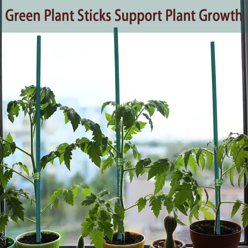 Plant Support Sticks Canes Bam - Plant Support Stake 评论和价格