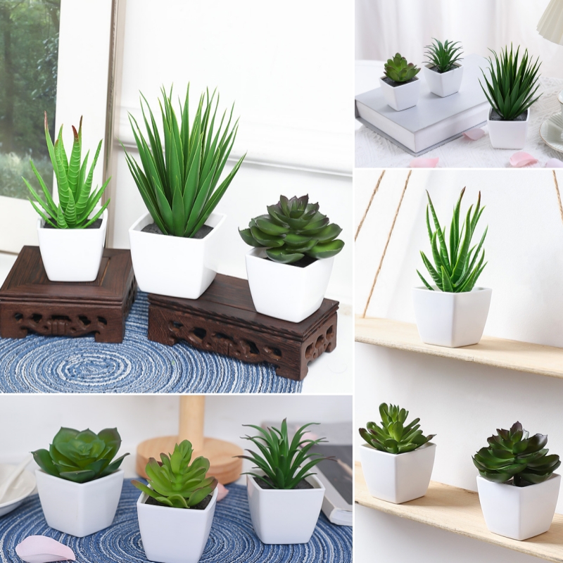 (A set of 3PCS) Simulated Mini - Succulent Set 评论和价格