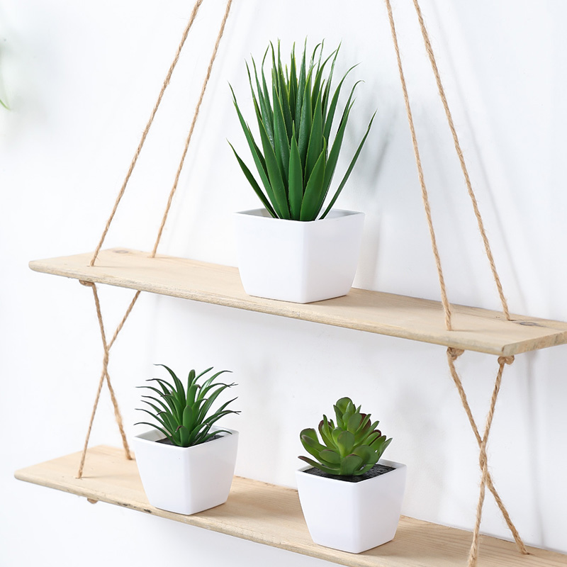 (A set of 3PCS) Simulated Mini - Succulent Set 评论和价格