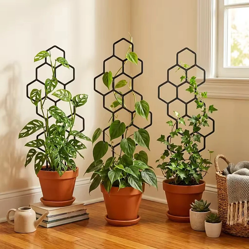 2/4pcs Honeycomb Design Plant  - Terracotta Pot 评论和价格