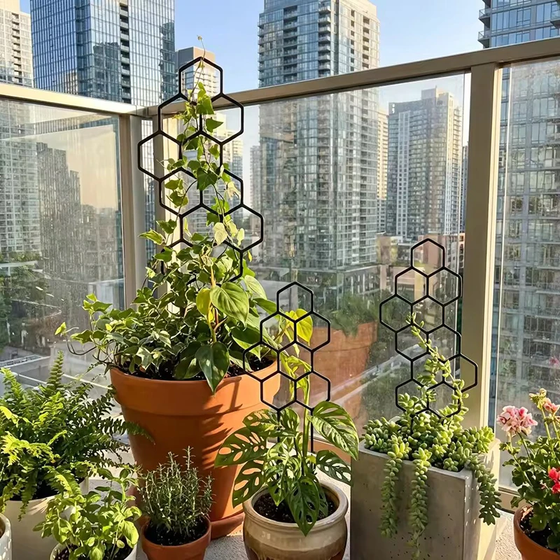2/4pcs Honeycomb Design Plant  - Terracotta Pot 评论和价格
