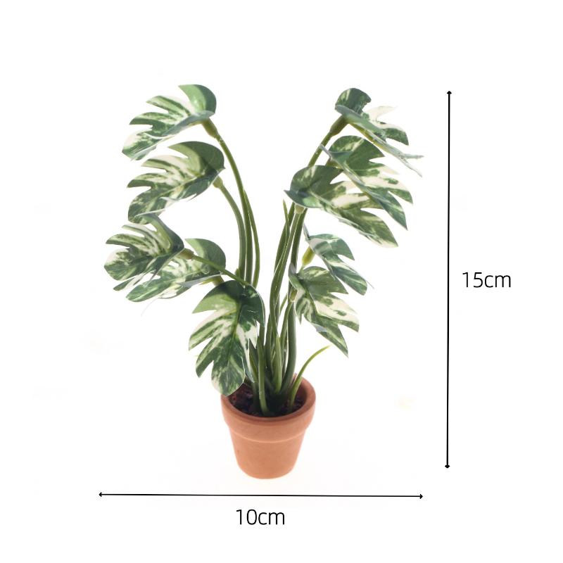 New.1PC 1/12 Dollhouse Simulat - Pothos 评论和价格
