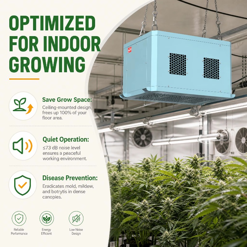 Powerful Greenhouse Dehumidifi - Indoor Plants 评论和价格